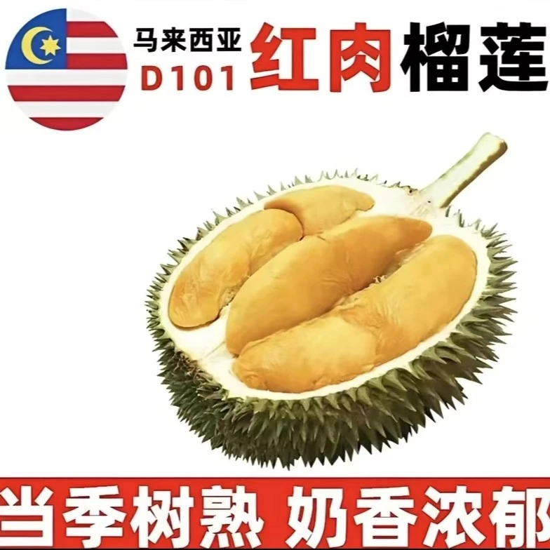 肴金鳞马来西亚—红肉D101榴莲
