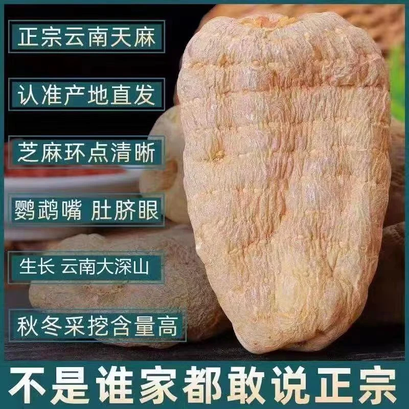 精品【小草坝乌天麻条】产地直销云南昭通新鲜烤干货克泡酒煲汤礼品