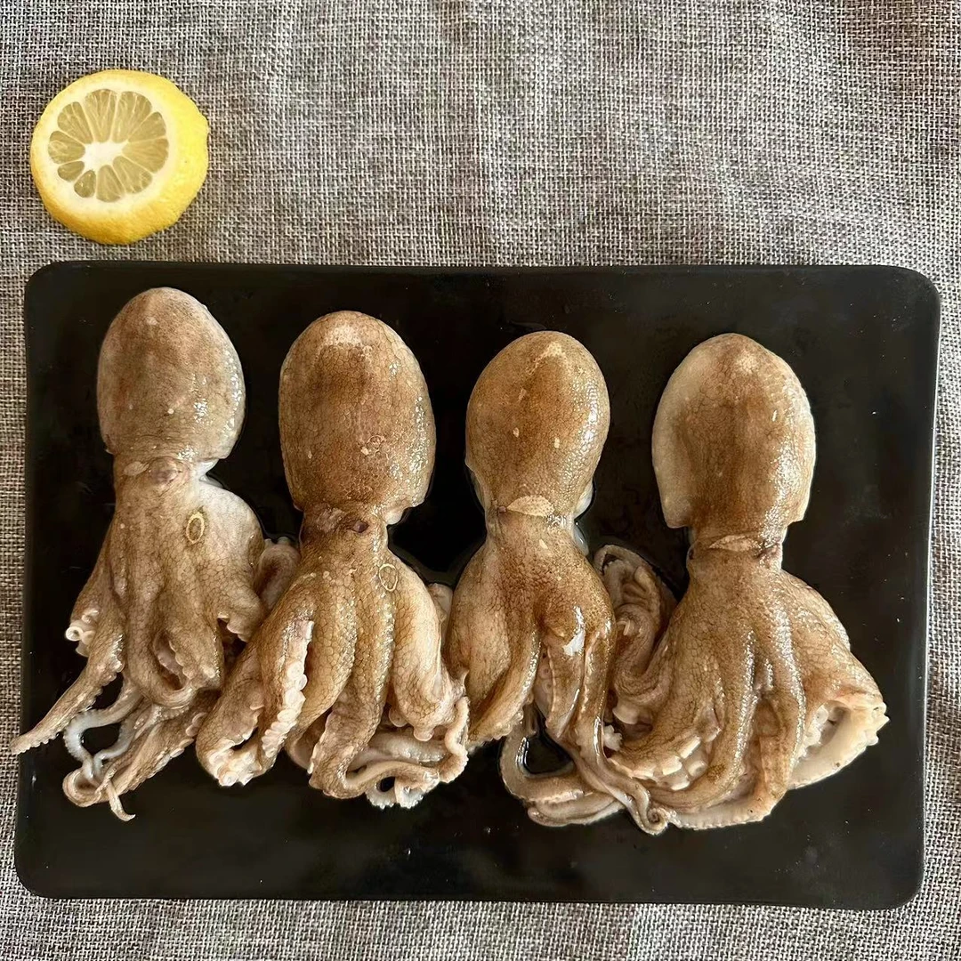 日照本地新鲜短腿八爪鱼速冻发货 麻辣爆炒250g/包*6包火锅食材