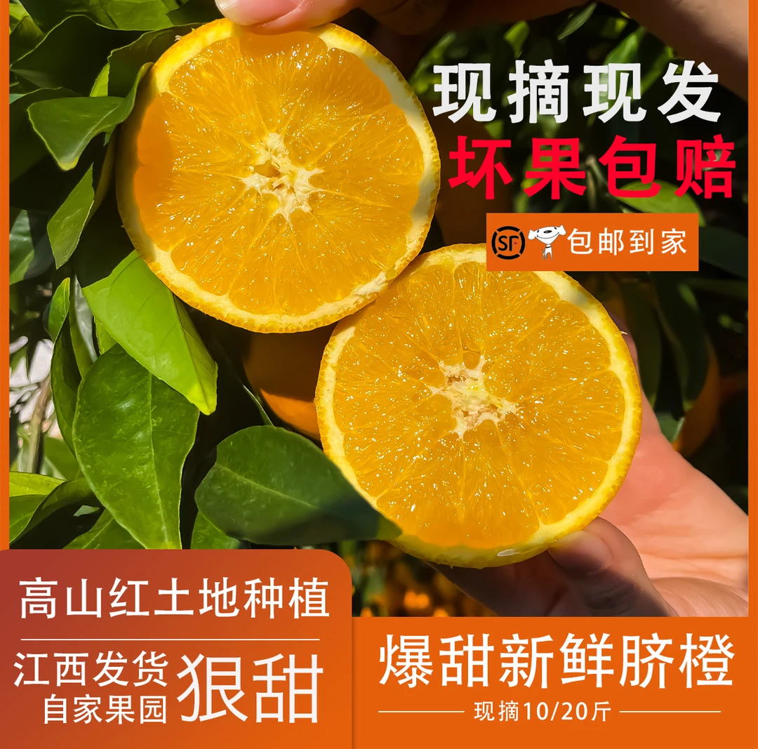 正宗江西赣南脐橙水果10/20斤橙子当季新鲜水果现摘现发