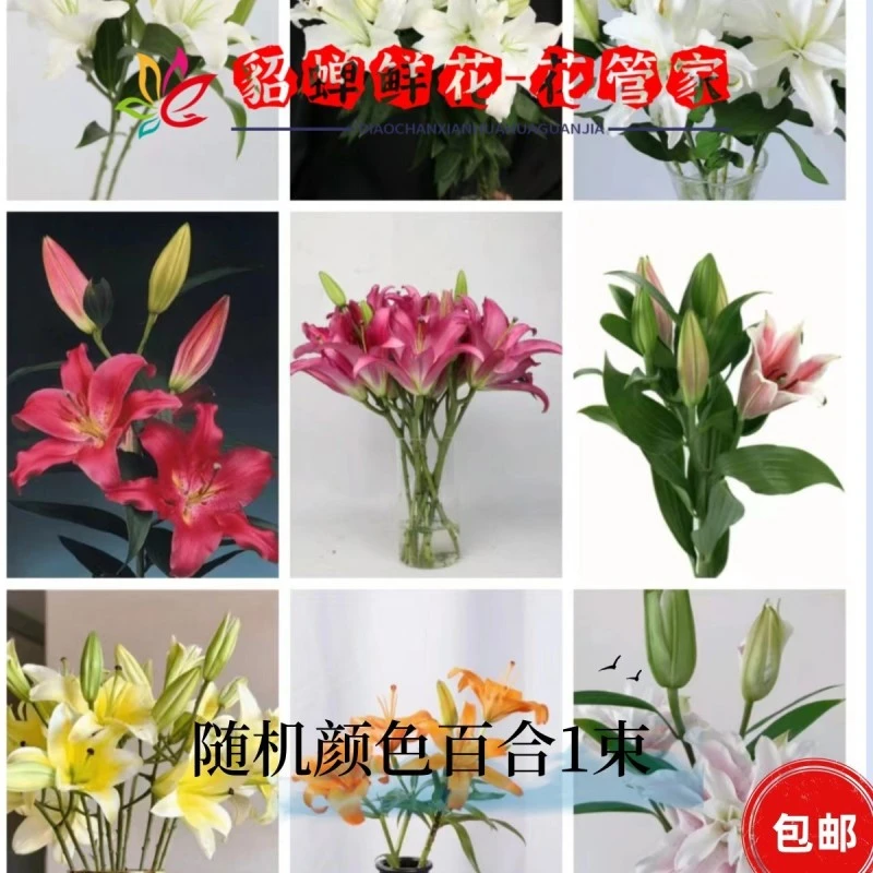 鲜花 10支多头粉佳人亚百合 鲜花发出不支持退款