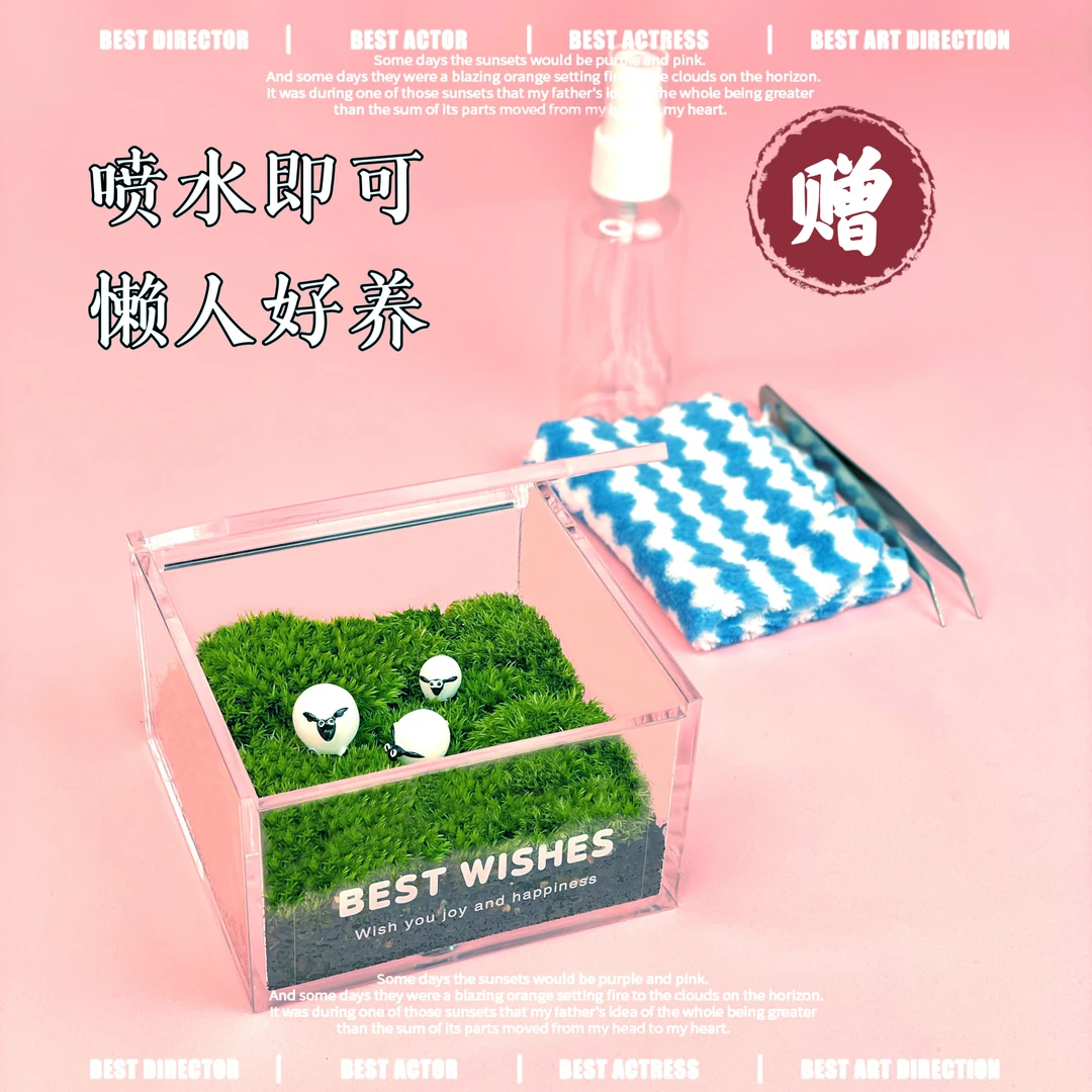 苔藓微景观室内桌面盆栽鲜活小绿植摆件办公室礼物迷你青苔生态瓶