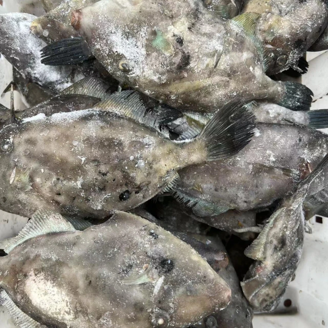 大连深海海捕皮匠鱼，一单5斤左右，1130