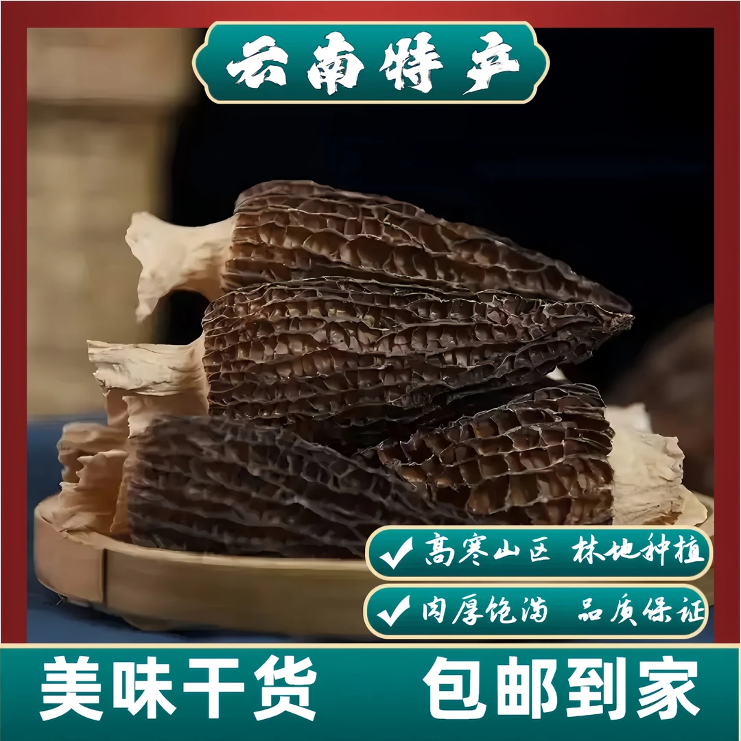 云南本地特产干货/高寒山区林地种植头茬/食用干羊肚菌250-1000克