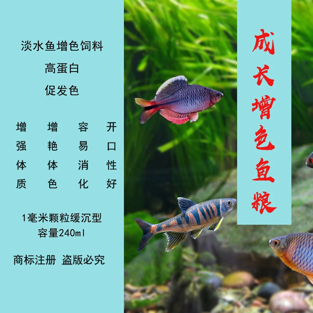 鳑鲏增色营养饲料淡水鱼高蛋白原生鱼增色饲料小型鱼饲料超萌好物