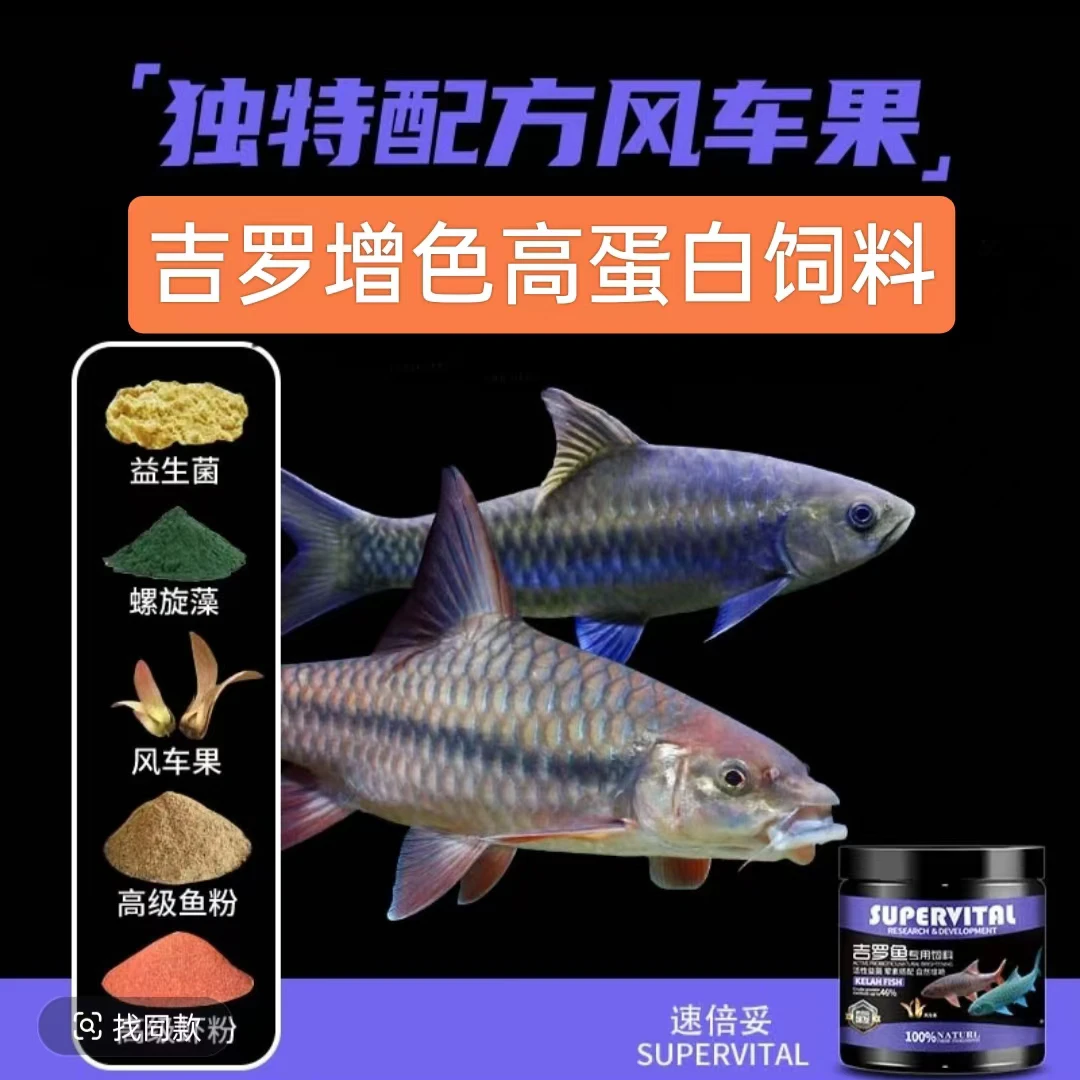速倍妥吉罗鱼饲料增艳增体红蓝吉罗专用下沉鱼粮高蛋白大颗粒鱼食