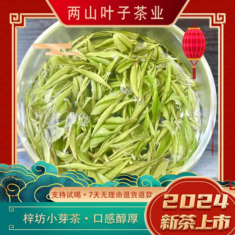 两山叶子【梓坊小芽茶】2024年新茶安吉白茶兰花香浓郁原产地好茶
