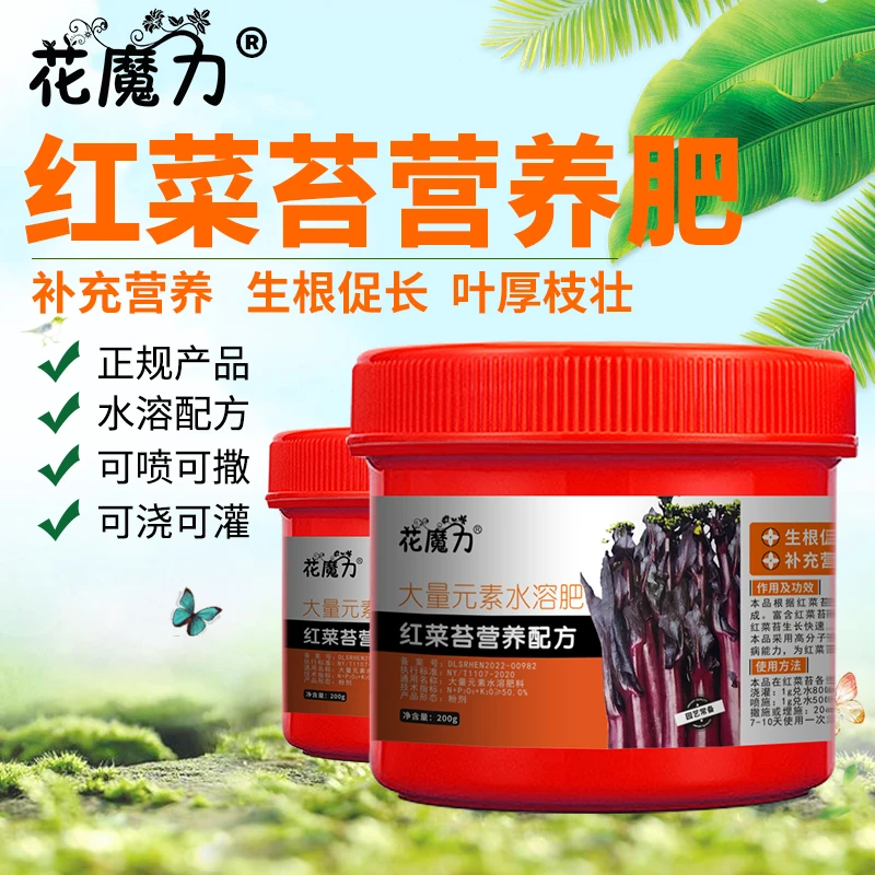 红菜苔专用营养红菜薹紫菜薹红油菜薹红菜大股子地栽养护菜园用肥