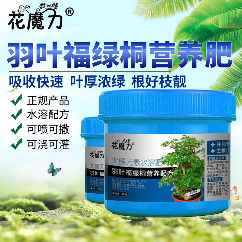 羽叶福禄桐盆栽绿盆景专用营养肥盆景室内绿叶养根四季通用观叶肥