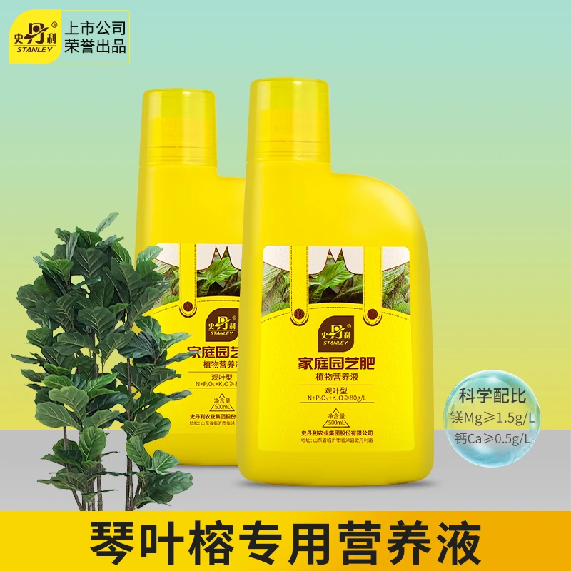 史丹利琴叶榕肥料专用型大型琴叶榕专用肥四季长青大叶绿叶营养液