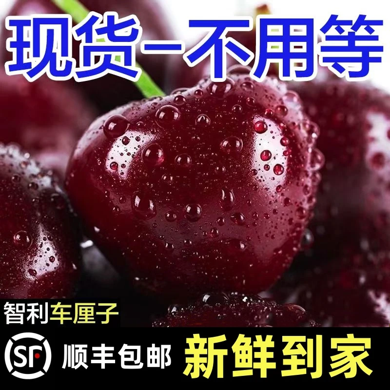 智利进口车厘子加黑1-5斤2-4J孕妇新鲜樱桃售后无忧