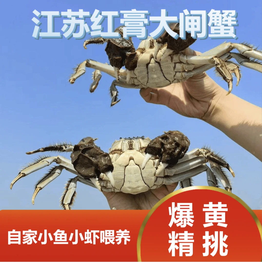 福【活蟹】江苏精品大闸蟹16只 （公3.2-2.9两8只）（母2.2-1.9两8只）