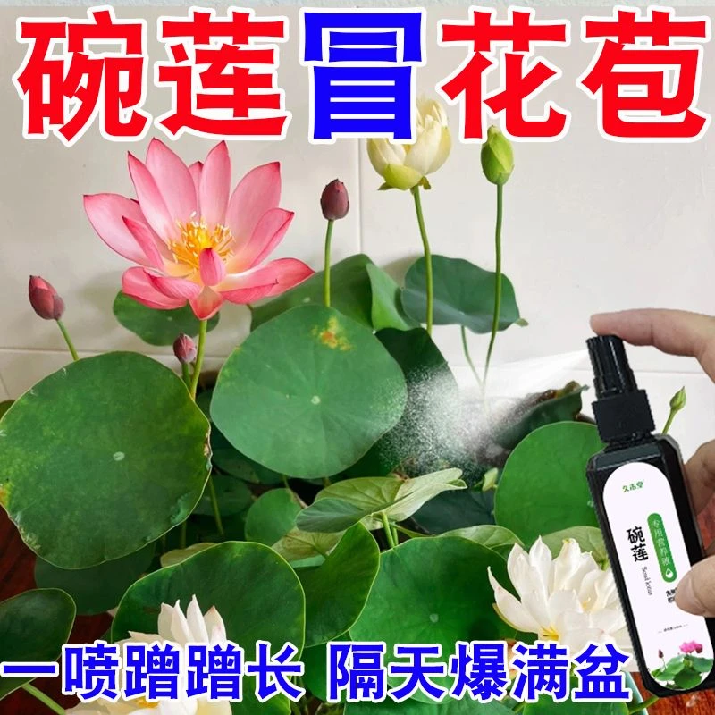 【蹭蹭长】碗莲睡莲专用营养液促发芽开花防黄叶延花期护花营养液