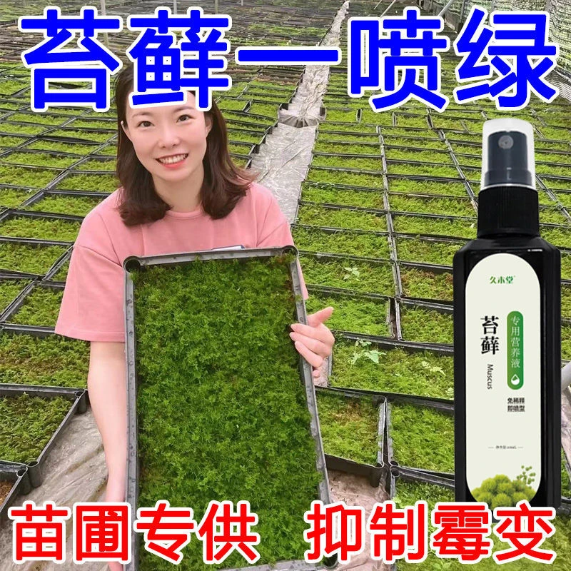 【专用】苔藓营养液盆栽微景观雨林缸通用防发霉发黄青苔植物肥料