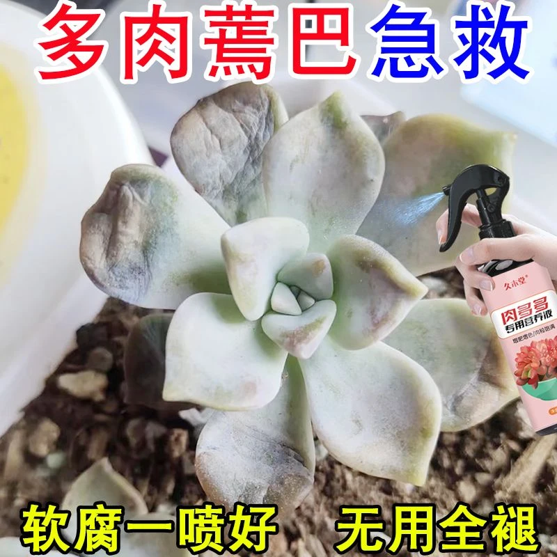 拯救】多肉营养液专用肥肉肉增色生根肉多多肥料爆芽素家用免稀释