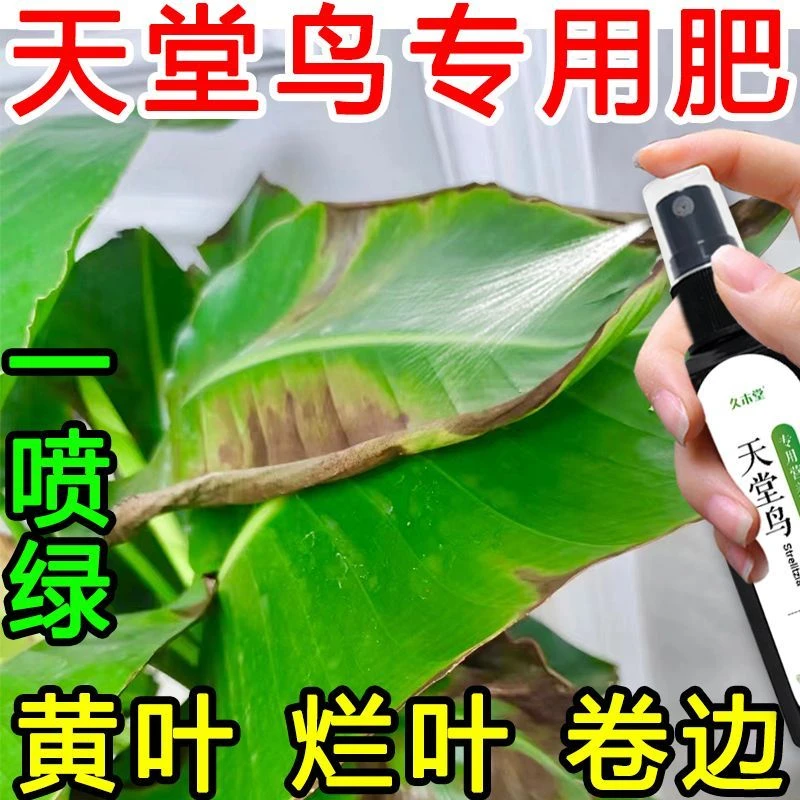 【一喷绿】天堂鸟专用肥急救治黄叶烂叶卷边开裂免稀释花卉营养液