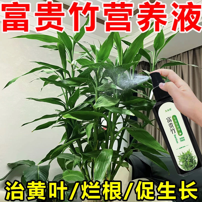 【一夜绿】富贵竹营养液适用专治黄叶烂根水培植物生长通用型液体肥