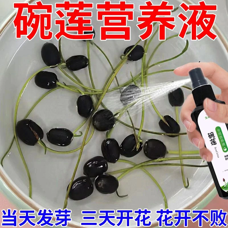 碗莲营养液专用水溶肥水培土培睡莲通用肥料治生长慢不发芽不开花