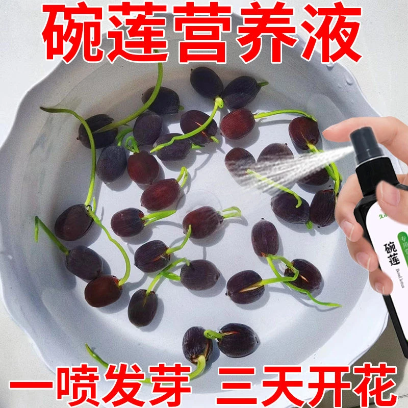 碗莲营养液专用助生长促发芽激活僵苗催开花治黄叶黑斑焦边肥料
