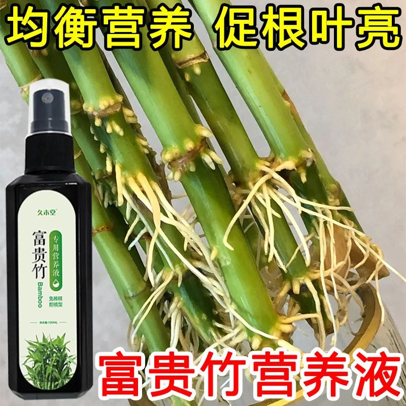 【四季翠绿】富贵竹专用营养液叶子发黄促生根液植物水培专用肥料