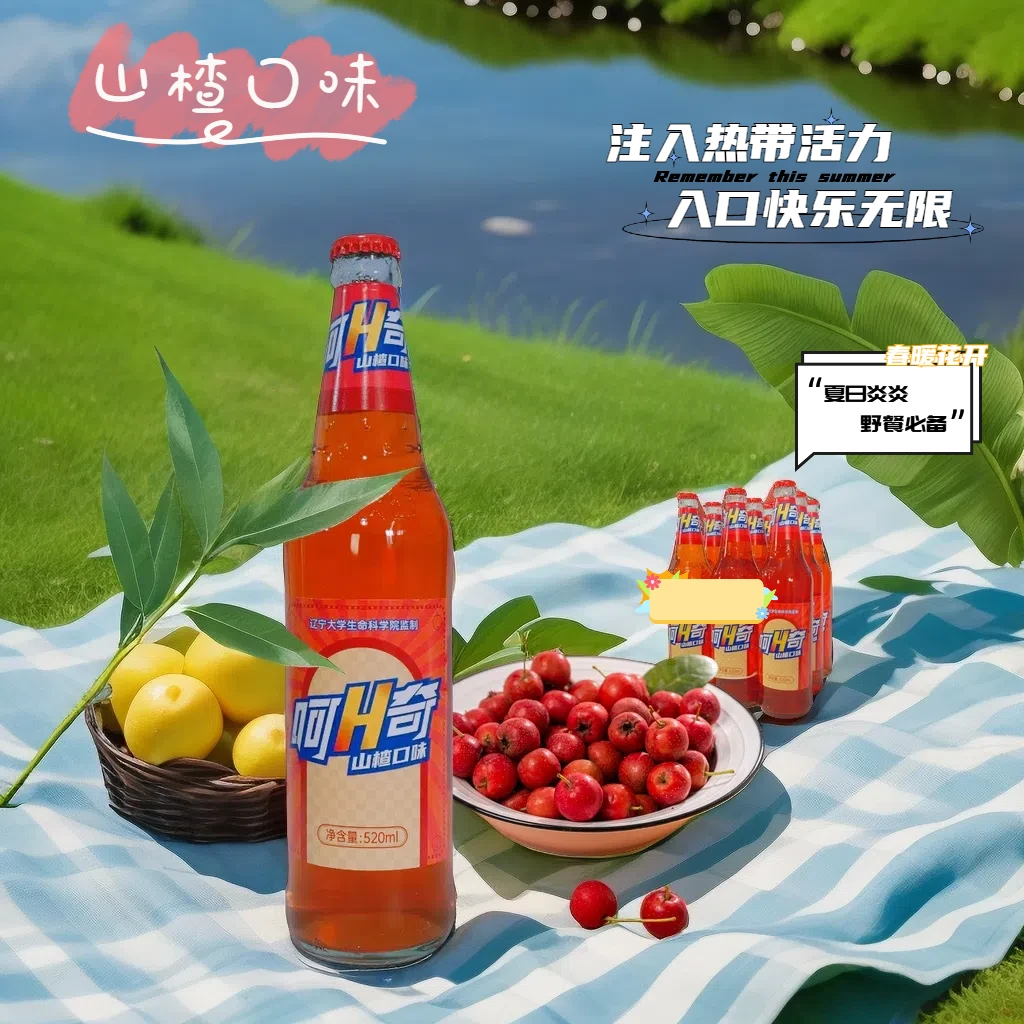 呵呵奇经典碳酸饮料东北特产山楂口味酸甜解渴清爽解腻4瓶装