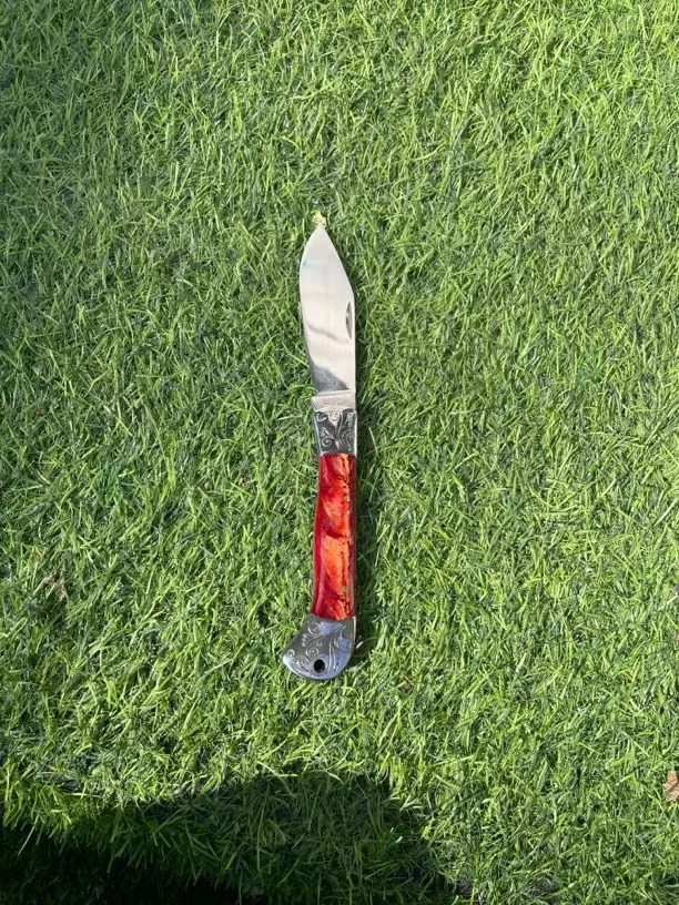 新疆发货吃肉瓜果刀