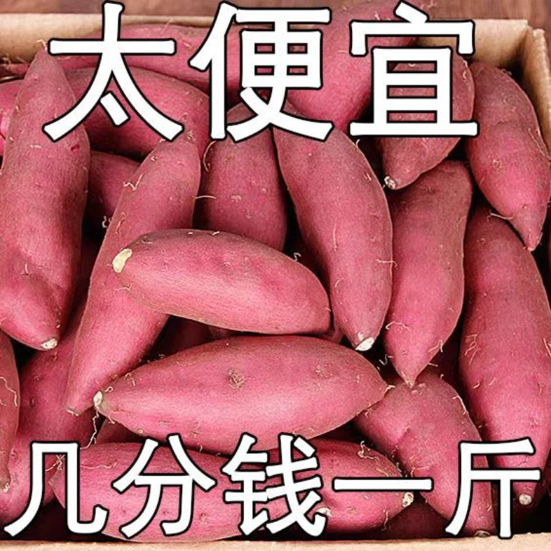 【抢购中】新鲜沙地红薯红黄心甜蜜薯地瓜板栗番薯蔬菜1-9斤烟薯