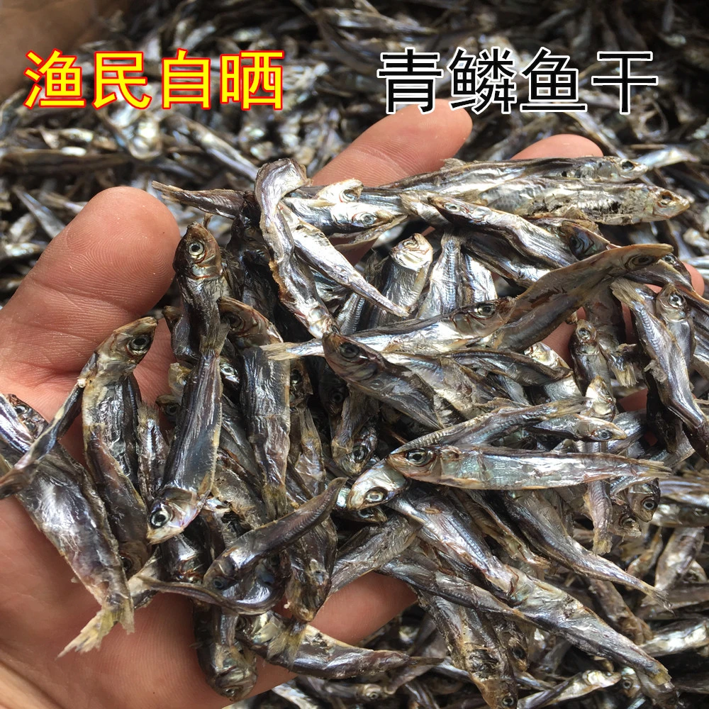 本地渔民生晒全淡口青鳞鱼干 青花仔 本港鱼仔 海味干货