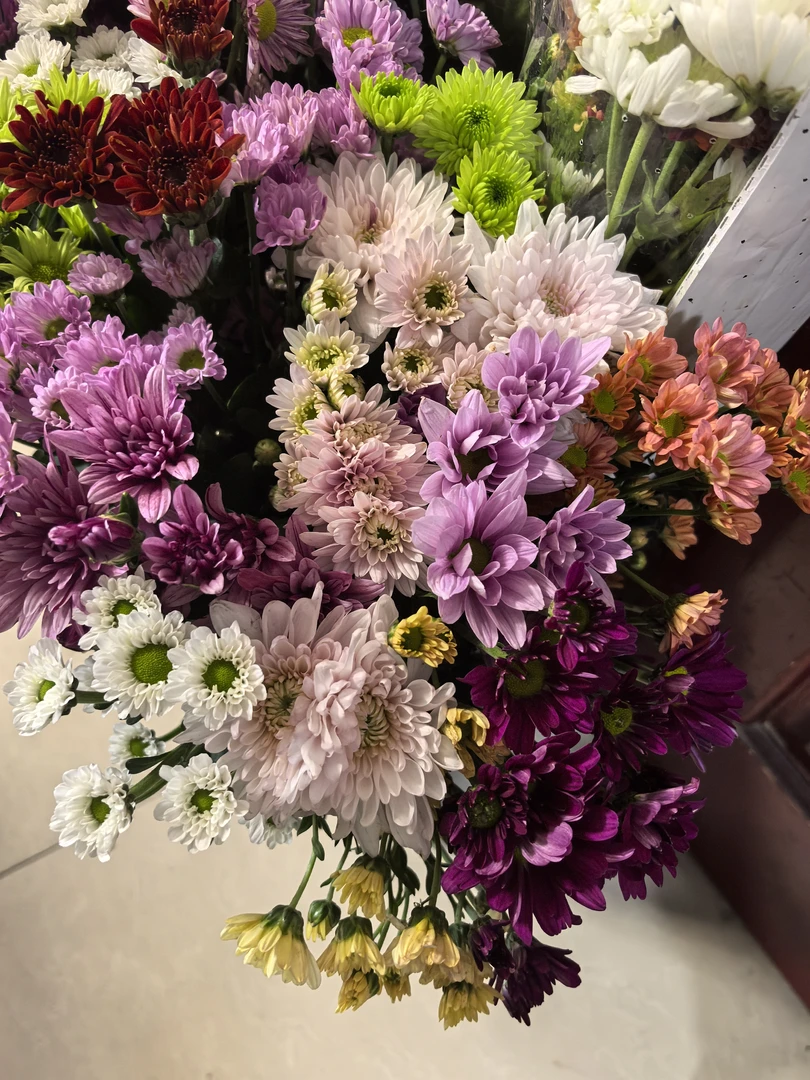 藏历年福利日喀则小雏菊混色鲜花到手12枝