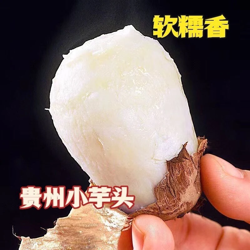 贵州农家现挖新鲜牛奶芋头软糯拉丝毛芋头蔬菜露天种植