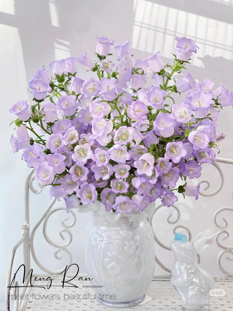 【花甜悦夏优选】紫色风铃鲜花（百分之十不售后3个订单包邮）