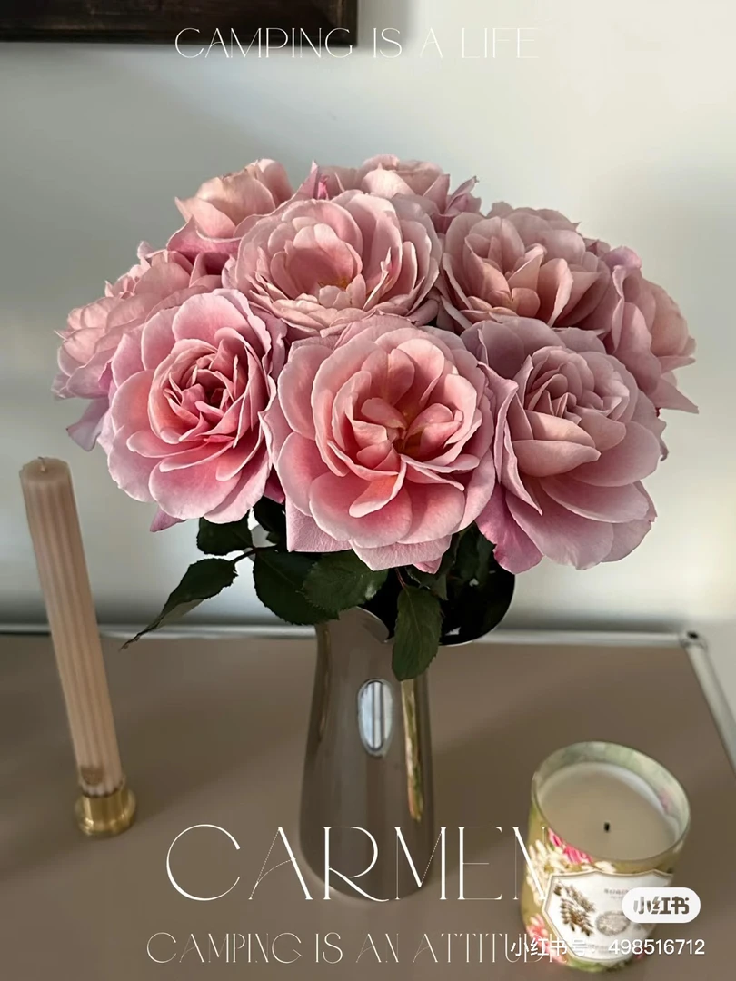 【花甜悦夏优选】遥远的鼓声玫瑰（百分之十不售后2个订单包邮