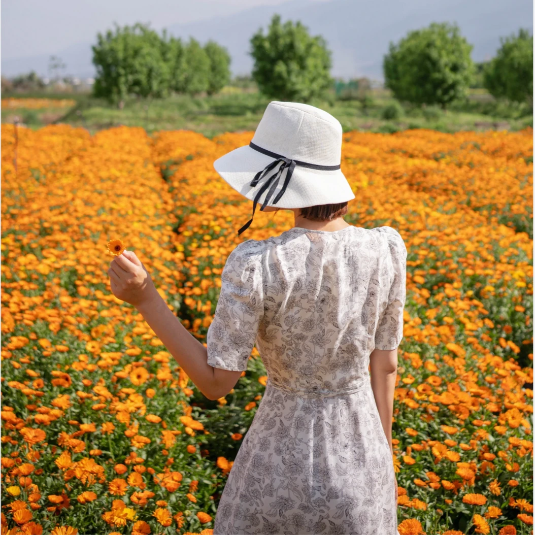 N°28夏季新款碎花连衣裙子Y2Q2922
