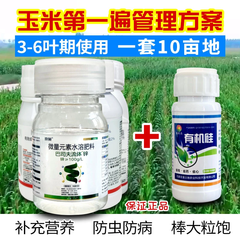 玉米综合管理方案防叶面肥腐殖酸氨基酸水溶肥虫病组合
