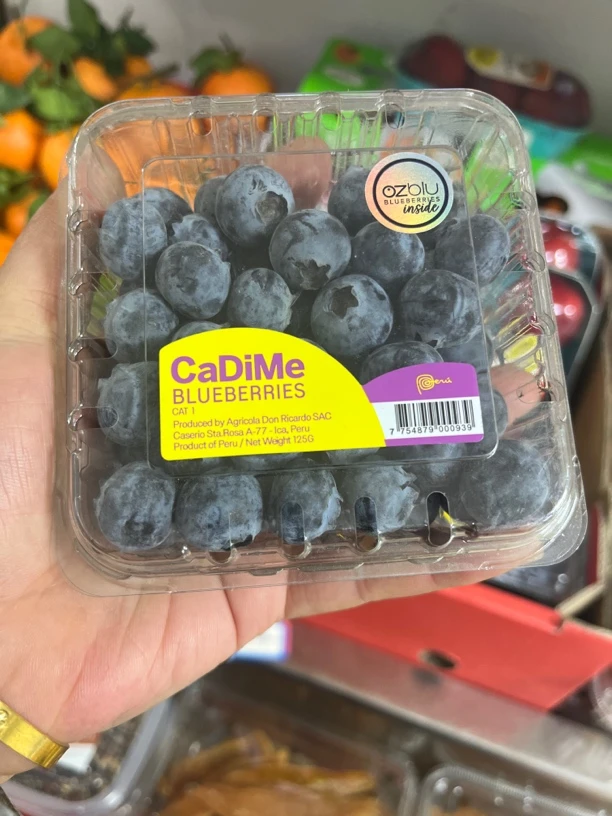 进口蓝莓