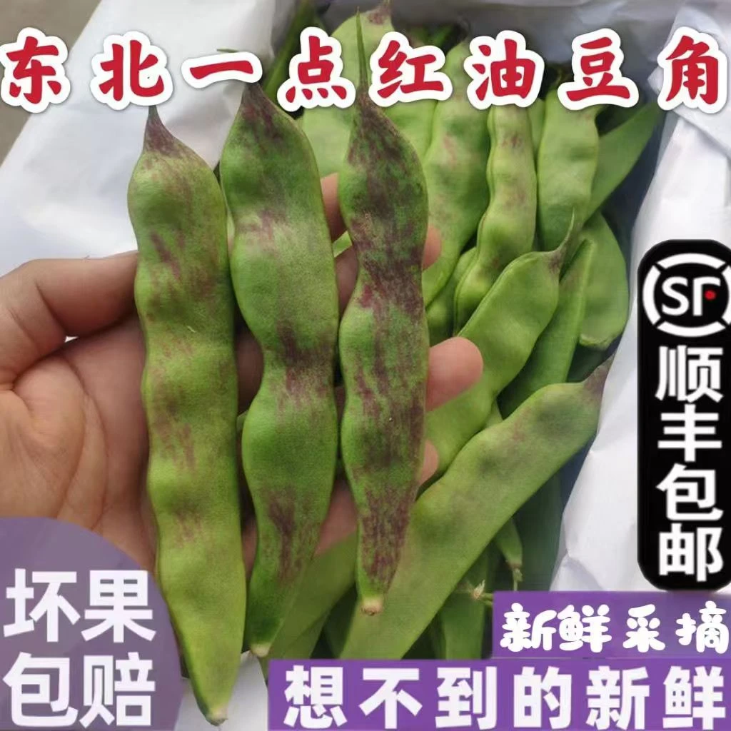 【顺丰到家】东北豆角油豆角新鲜蔬菜一点红大油豆角面豆角开锅烂