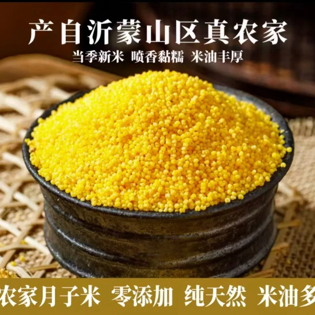 【魏三姐专属】沂蒙山黄小米 农家自种月子米 米油丰厚熬米粘稠