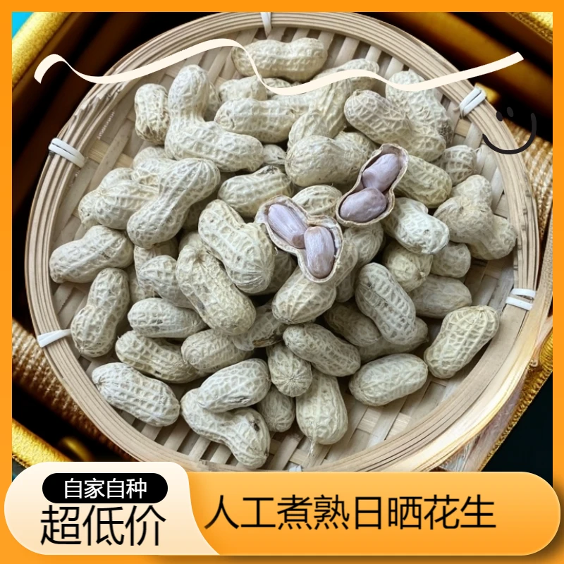 水煮带壳【咸干花生】熟花生精选纯手工日晒童年记原味美味开袋即食