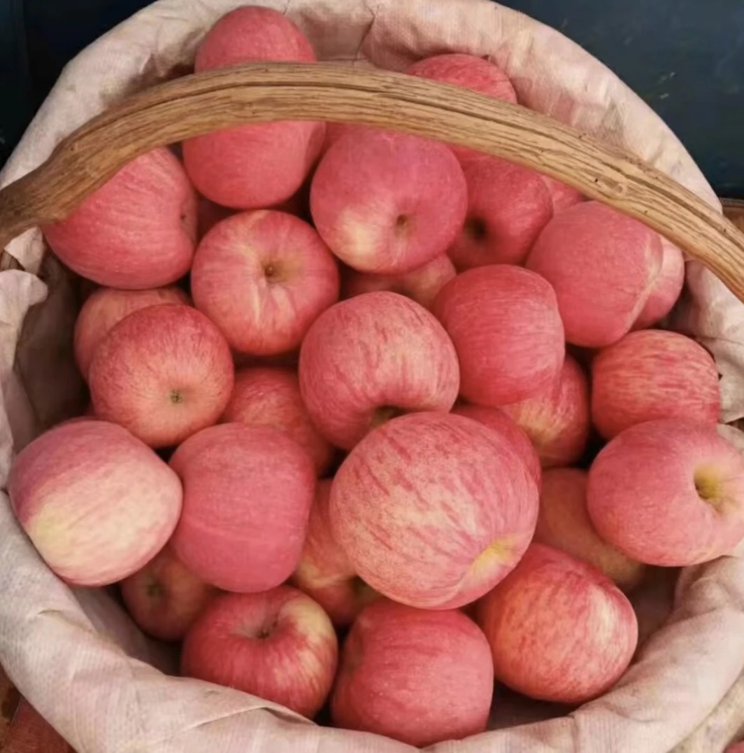 《三八专属》山西吉县壶口红富士苹果,脆甜多汁,带皮吃