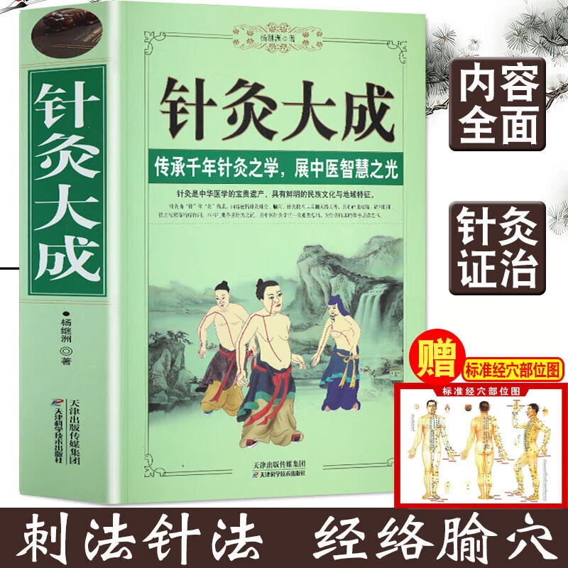 【全2册】针灸大成+穴位图