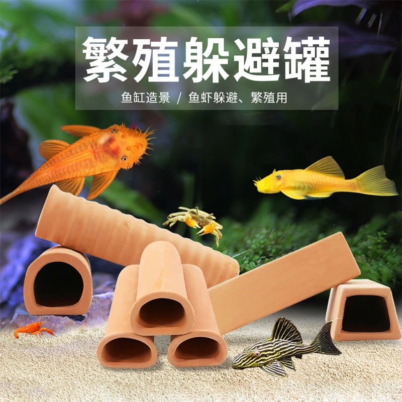 异形繁殖罐繁殖窝异型躲藏陶罐繁殖屋鱼缸造景用黄金胡子大帆鱼