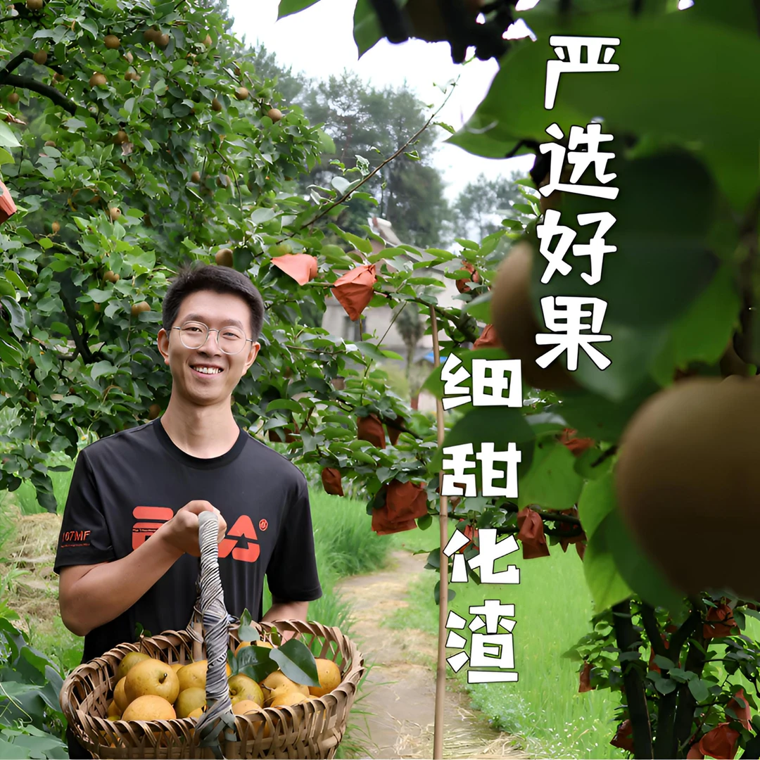 涪陵新鲜翠冠梨脆甜多汁产地直发4.5斤/9斤装