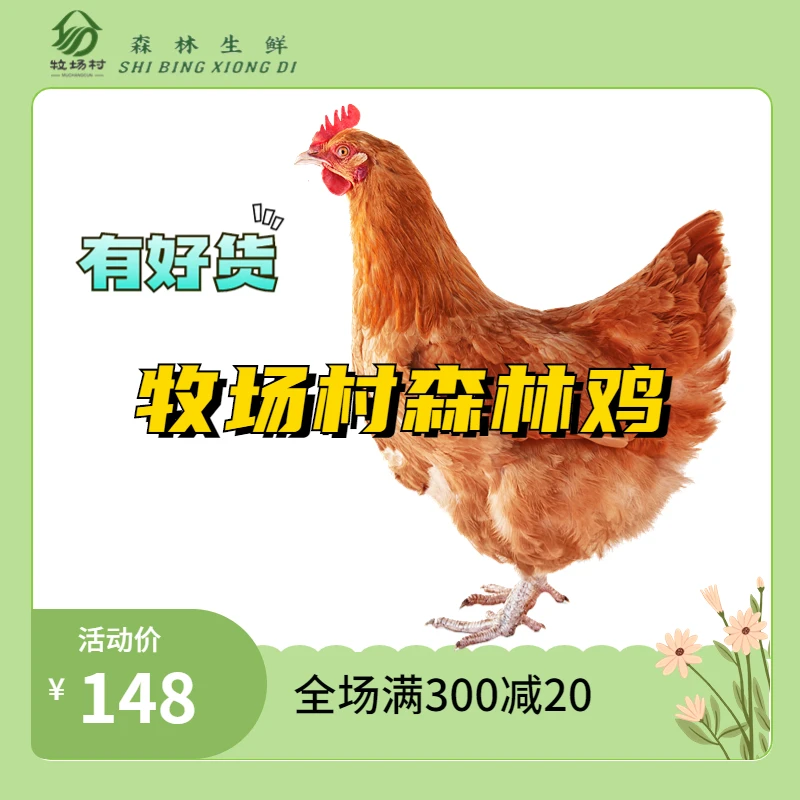 【年份老鸡450天】石台森林鸡农场散养土鸡煲汤家庭鸡汤清远鸡