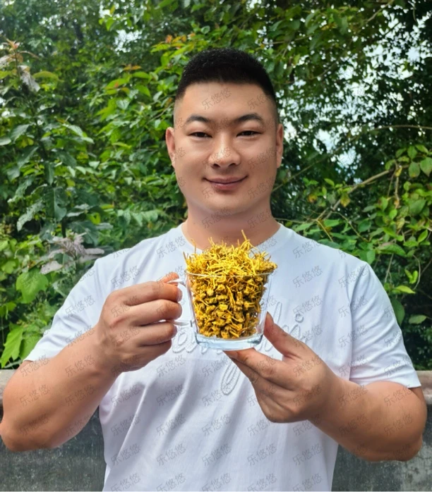【龙须·石斛】传统滋补、干货初级农产品250g/500g