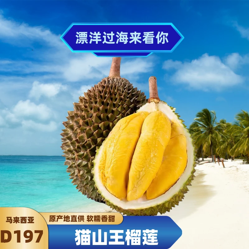猫山王榴莲D197马来西亚液氮收货树上熟口感浓郁香甜细腻巴果榴莲