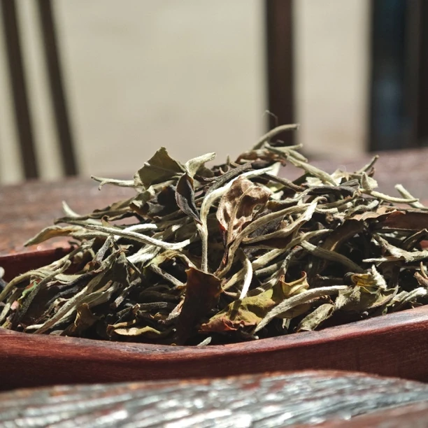 文山麻栗坡白茶茶叶散茶云南白茶体验装新老包装随机发特价包邮