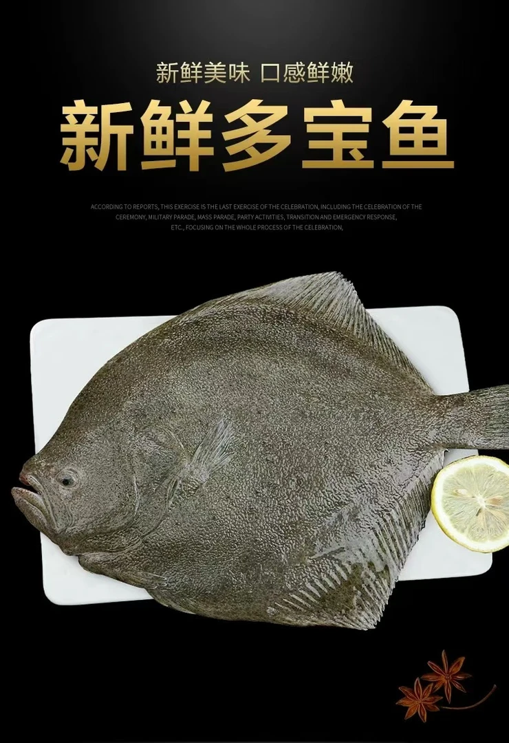 7条多宝鱼鲜活速冻冷冻大比目鱼偏口鱼八宝鱼左口鱼扁口鱼烧烤