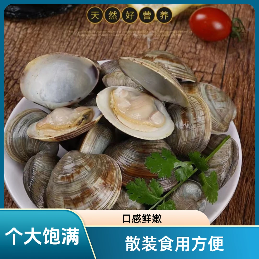 美贝鲜活5斤大蛤蜊保鲜大美贝无沙花蛤花甲文蛤蛤蜊