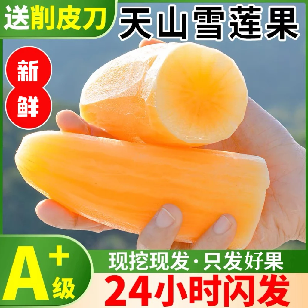 【拍3送2】云南天山雪莲果3/5/9斤装脆甜多汁 皮薄肉厚