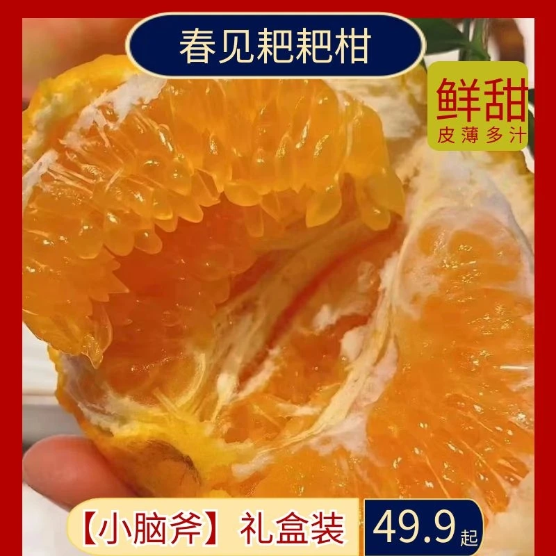 小脑斧春见耙耙柑国潮礼盒中大果鲜甜多汁正宗整箱包邮好吃水果橘